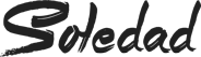A WordPress Site